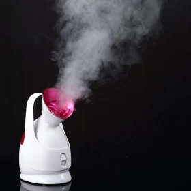 Sokany Facial Steamer Home spa Steam Machine Sauna
